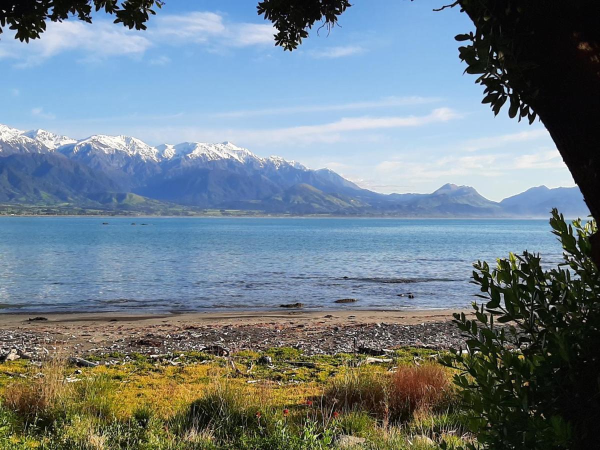 Panorama Motel Kaikoura Bagian luar foto